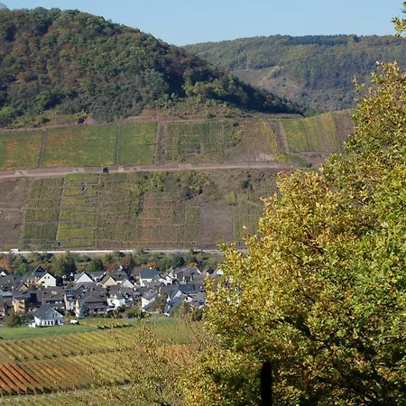 Ferienhaus Mosel Bub Bruttig-Fankel Exterior foto