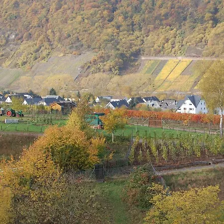 Ferienhaus Mosel Bub Bruttig-Fankel Zimmer foto