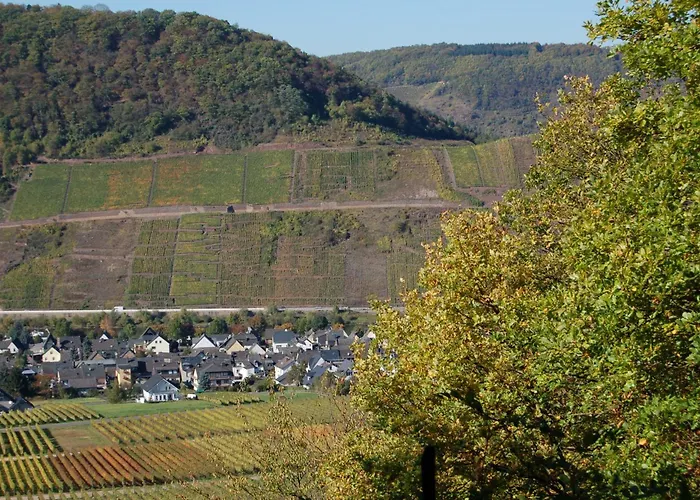 Ferienhaus Mosel Bub