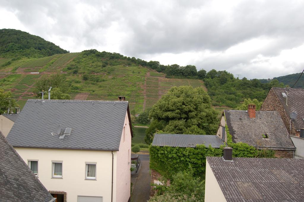 Mosel Bub