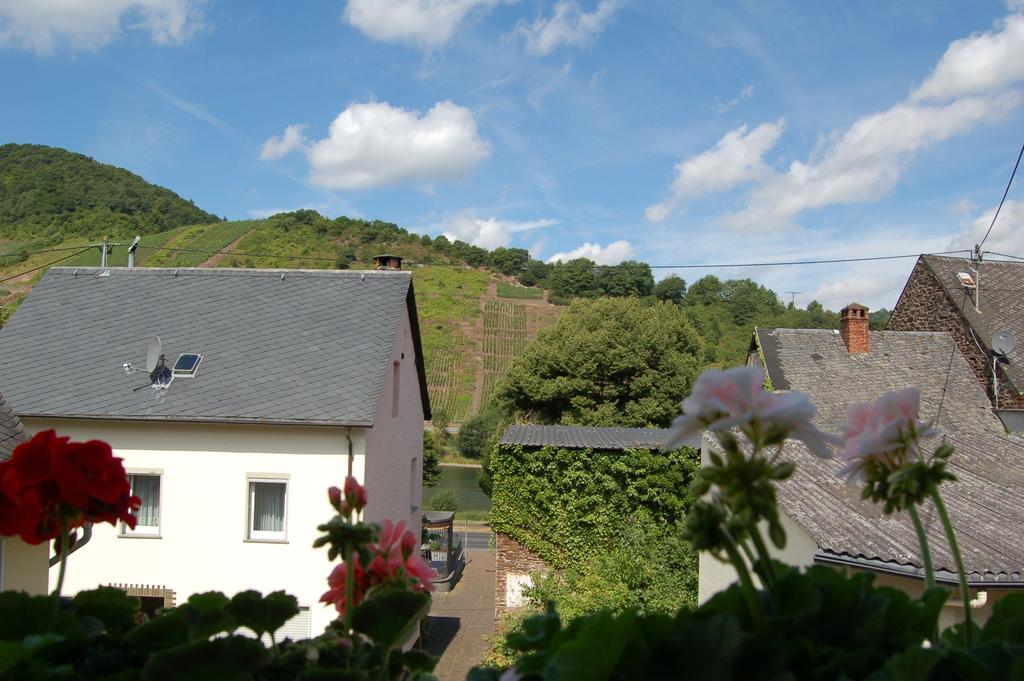 Mosel Bub