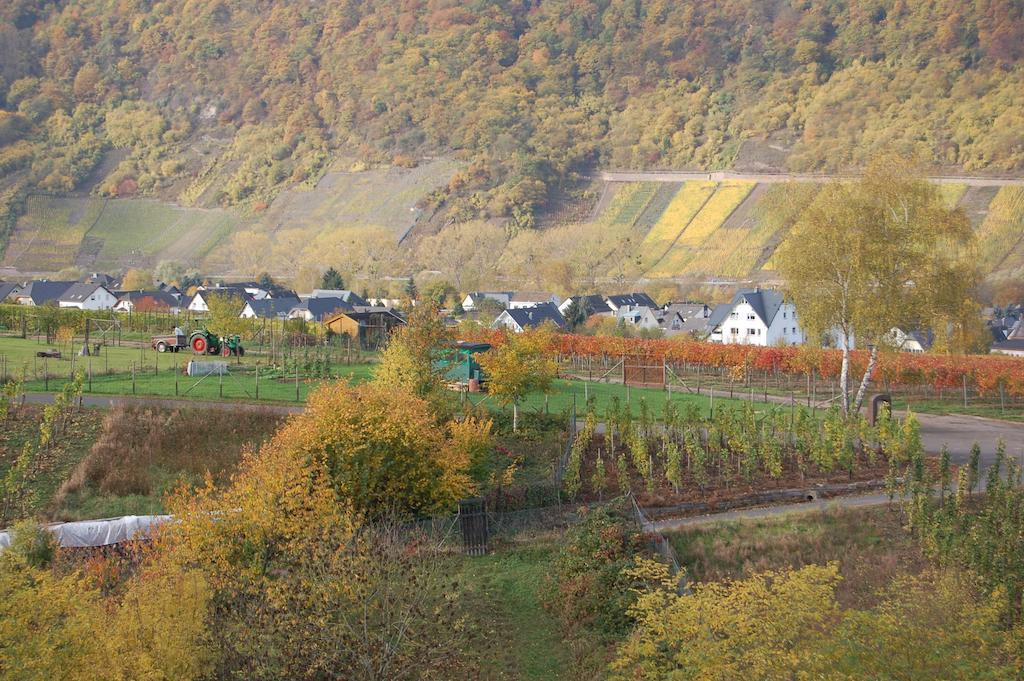 Apartment Mosel Bub Bruttig-Fankel